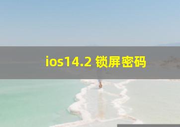 ios14.2 锁屏密码